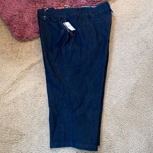 Preswick & Moore Capri Jeans Size 24W New $54